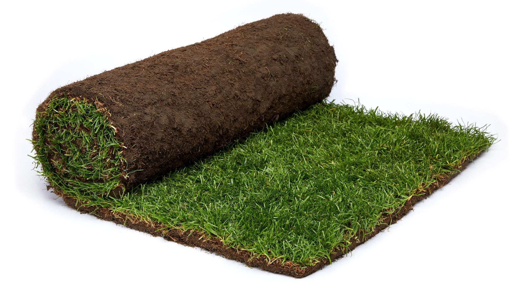 Rolawn turf rolls