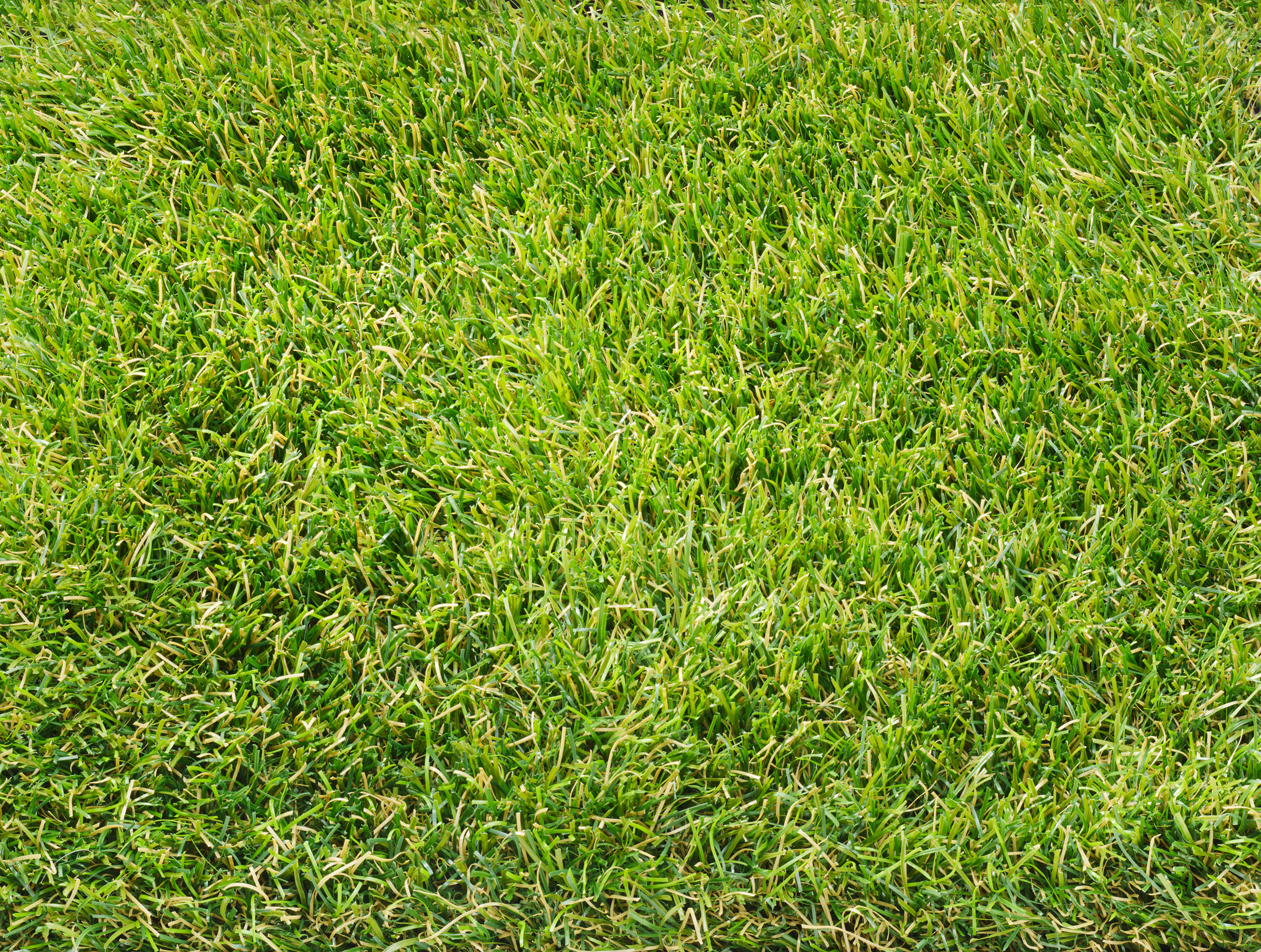 Overhead view of Artiga Evolve artificial grass texture