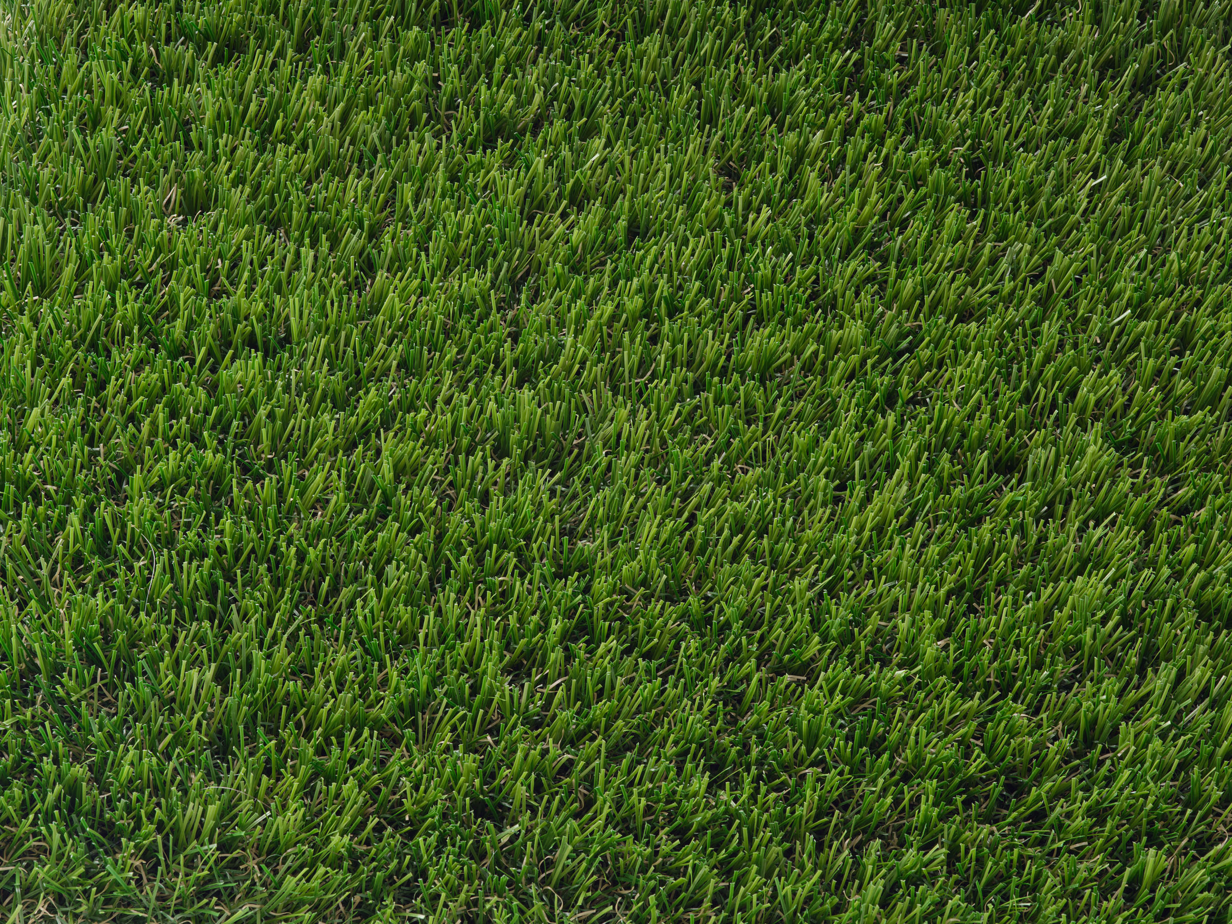 Overhead view of Blitz artificial grass texture