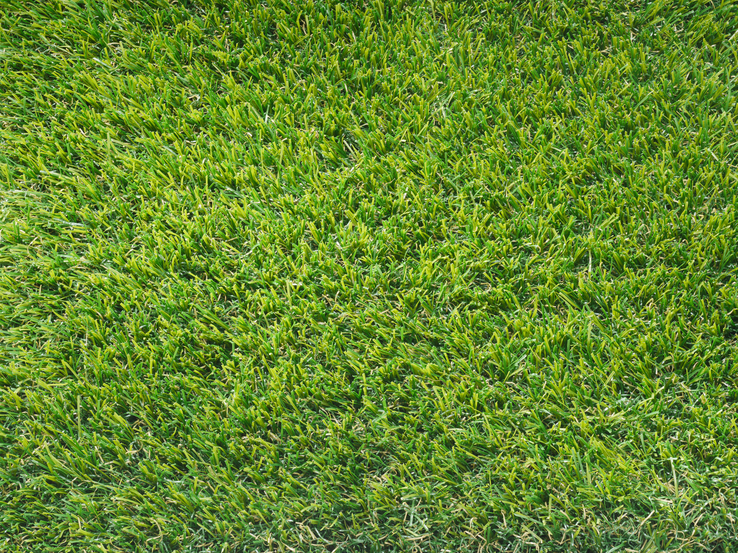 Overhead view of Jetta artificial grass texture