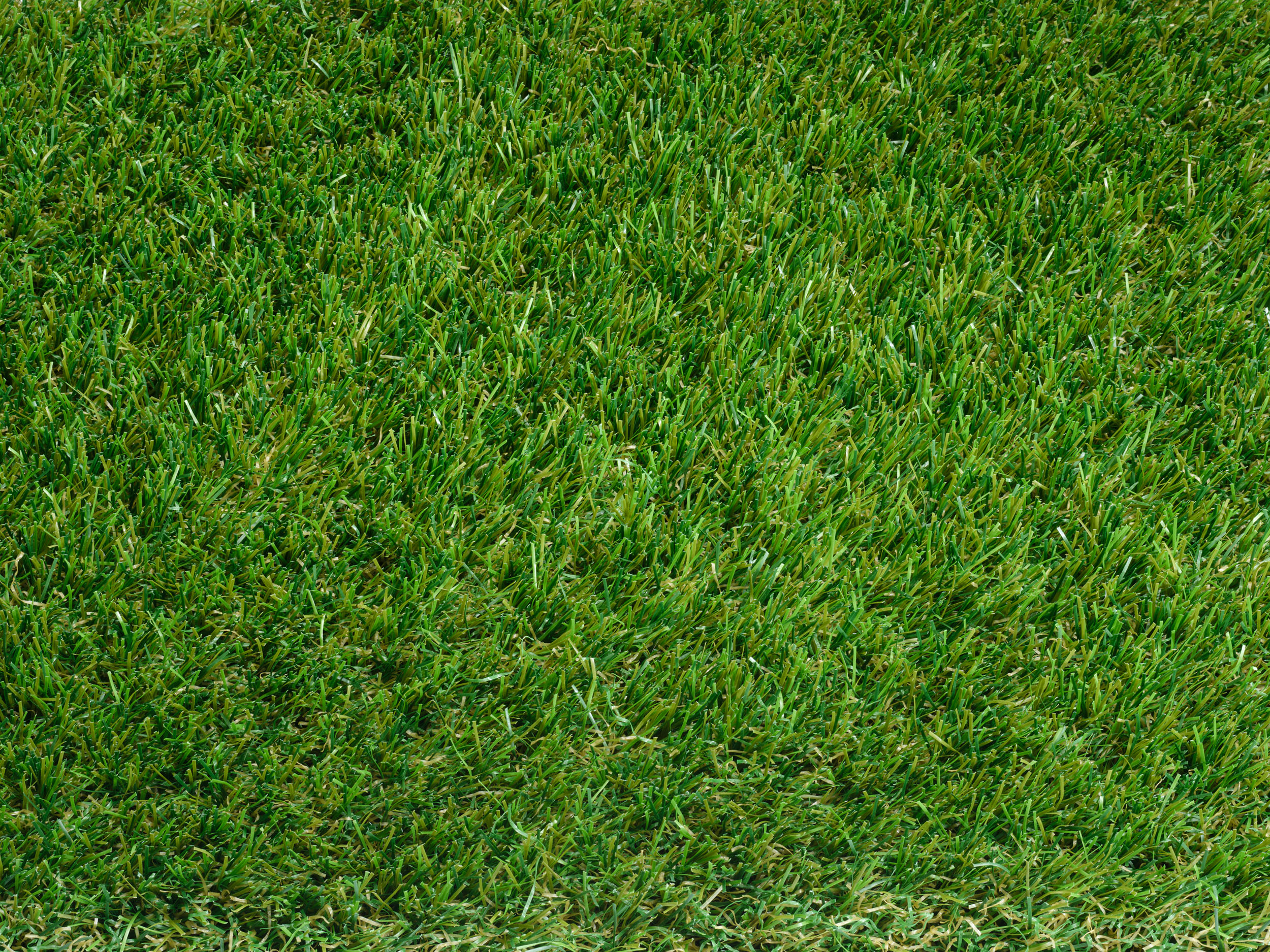 Overhead view of Senna Luxe artificial grass texture