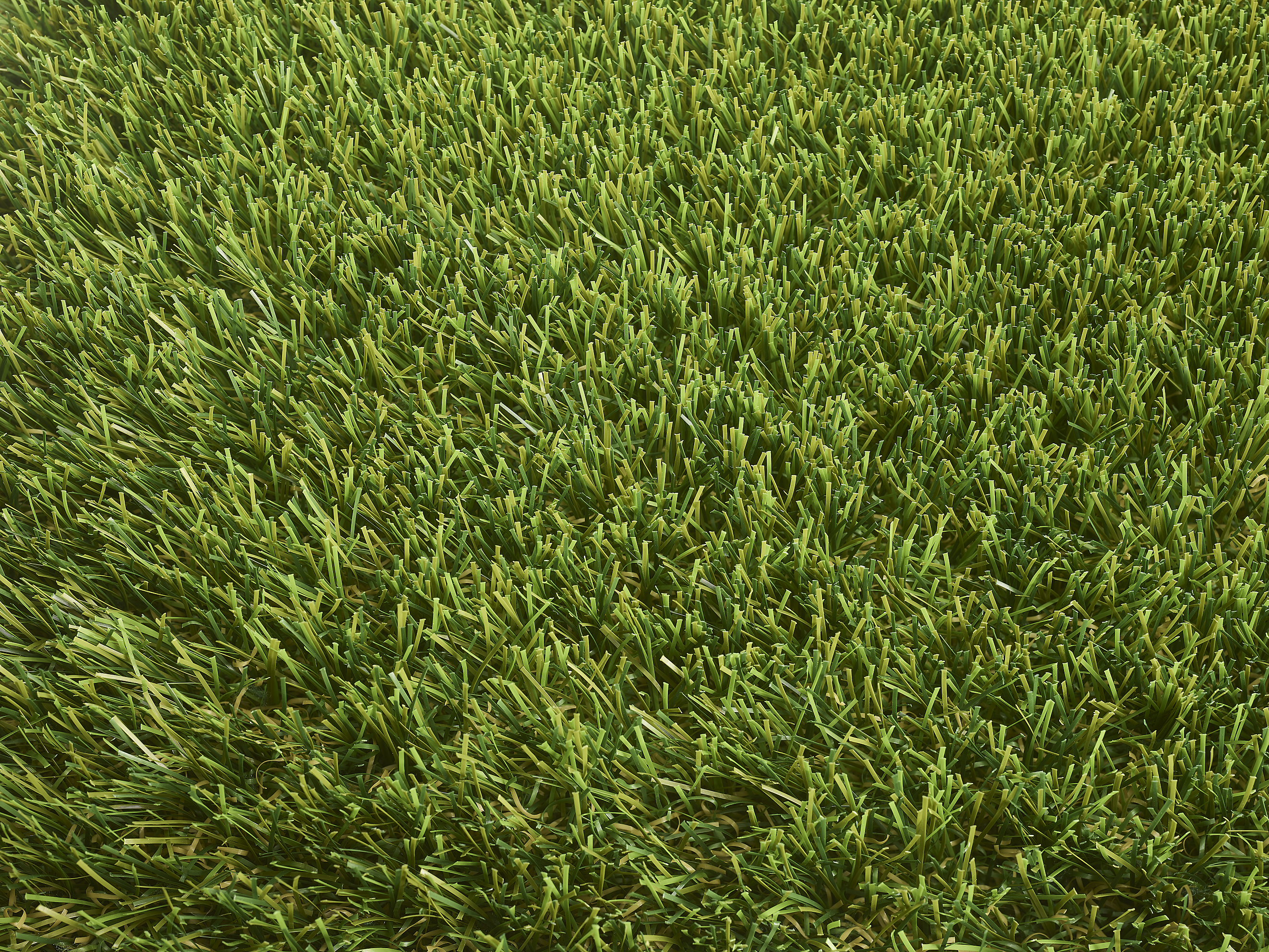 Overhead view of Senna artificial grass texture