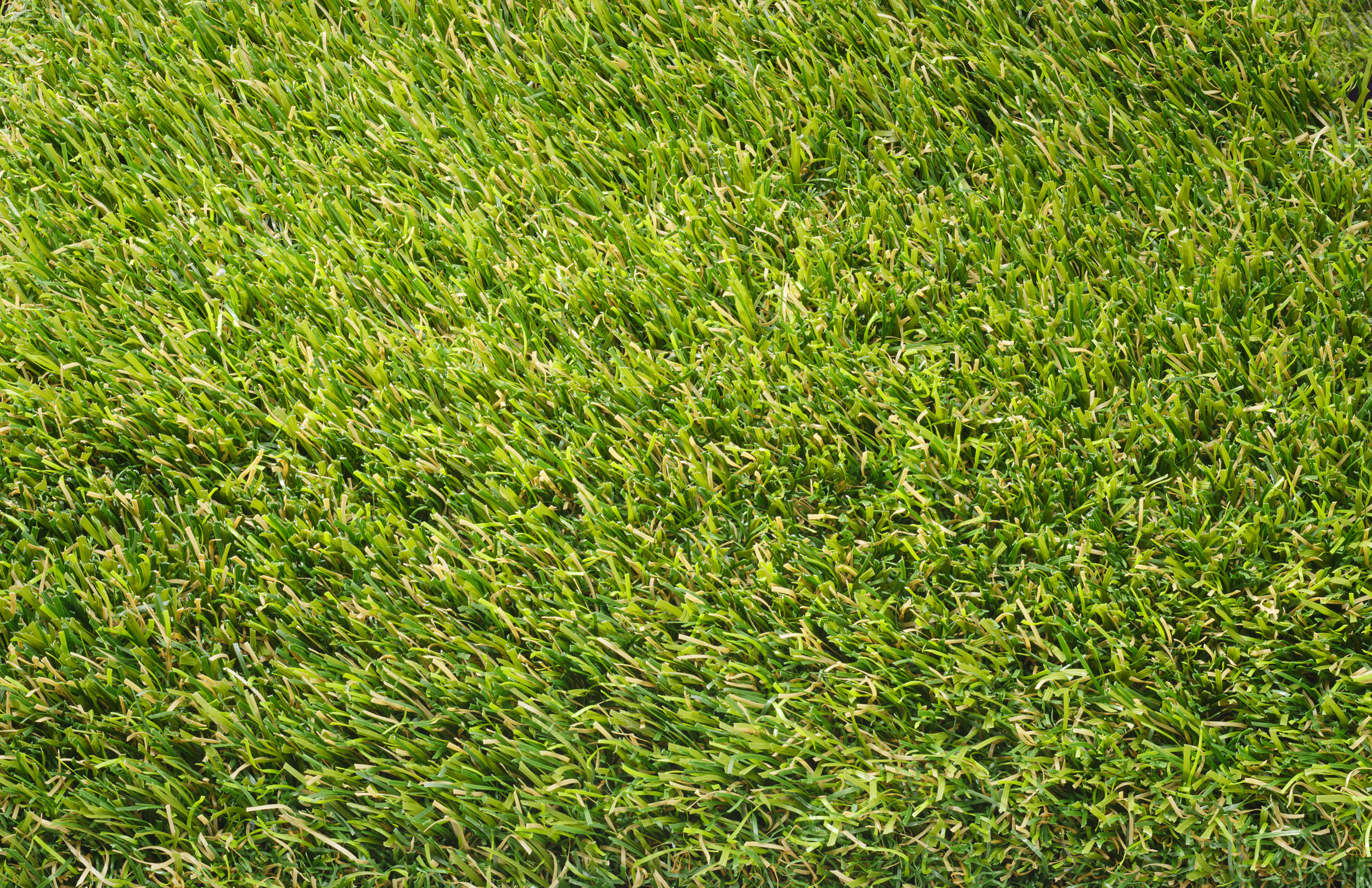 Overhead view of Vantage Evolve artificial grass texture