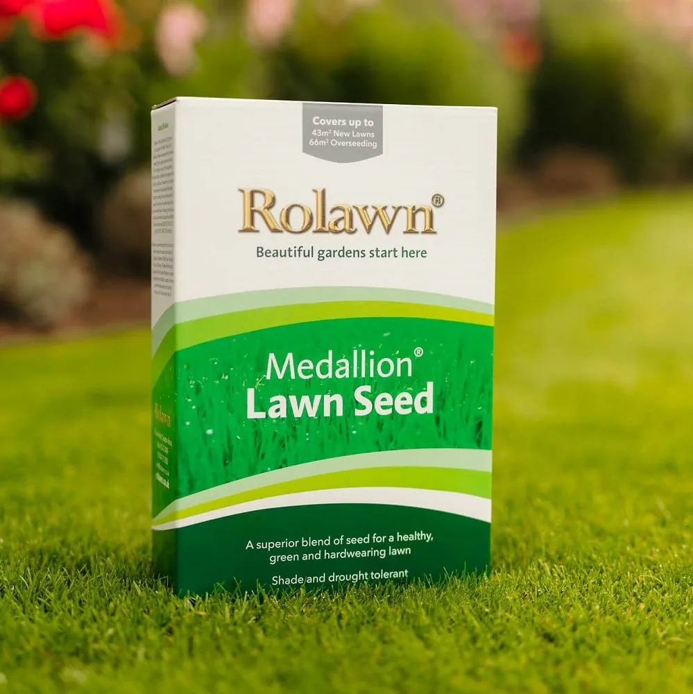 Lawn seed and fertiliser products