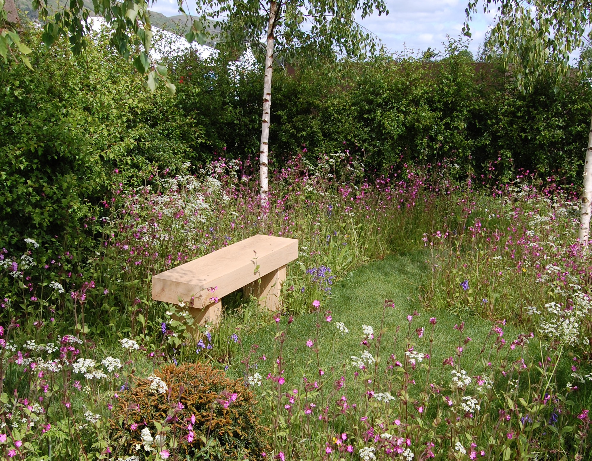 Wildflower Landscape 34 turf